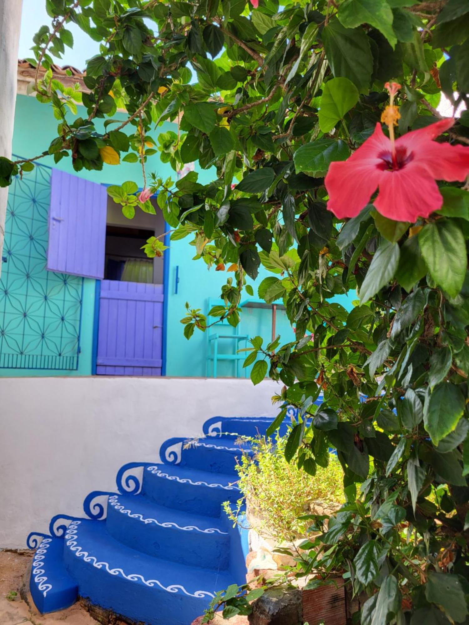 Chale Flor Do Ser Canoa Quebrada Exterior foto